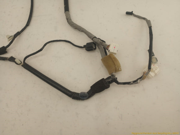 Acura TSX Driver Left Front Door Wire Harness