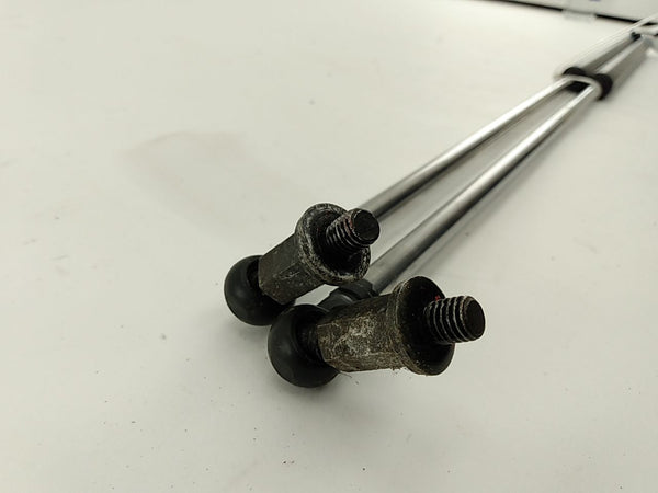 Dodge STEALTH Pair Of Tailgate Lift Support Struts (2)